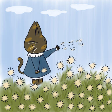 Field of Wishes